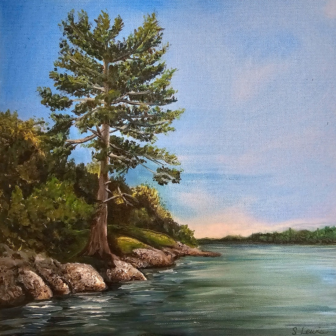 Thousand Islands Pine, an oil painting by Sarah Lewis